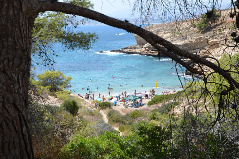 BENIDORM CALA ALMADRABA