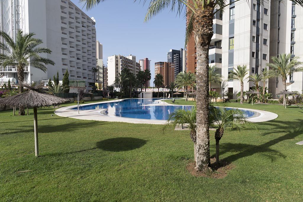 Apartamentos en Benidorm - Piscina Gemelos 26